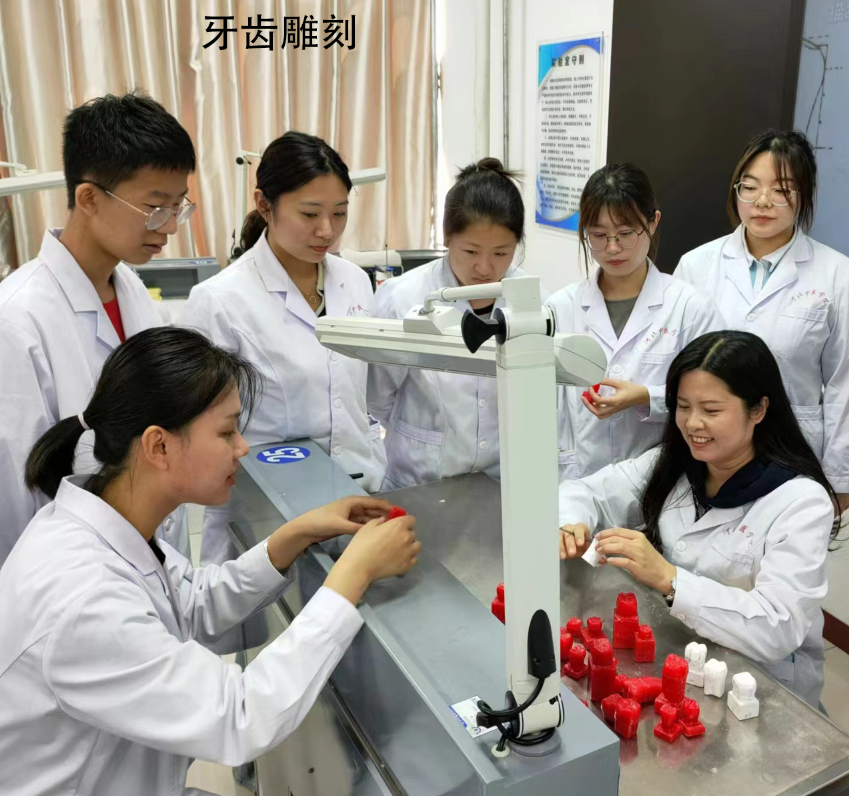 口腔修复工艺专业和口腔医学哪个好就业?-石家庄白求恩医学院 口腔修复工艺专业和口腔医学哪个好就业?-石家庄白求恩医学院