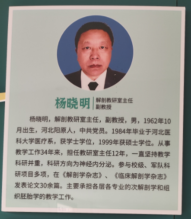 师资硬核看得见！石家庄白求恩医学中专解剖学科带头人杨晓明副教授简介